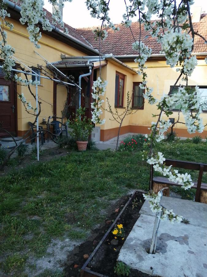 Hársfák Vila Mezokovacshaza Exterior foto