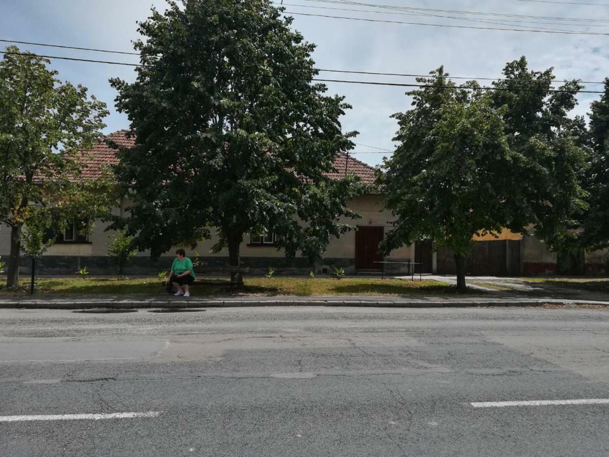 Hársfák Vila Mezokovacshaza Exterior foto