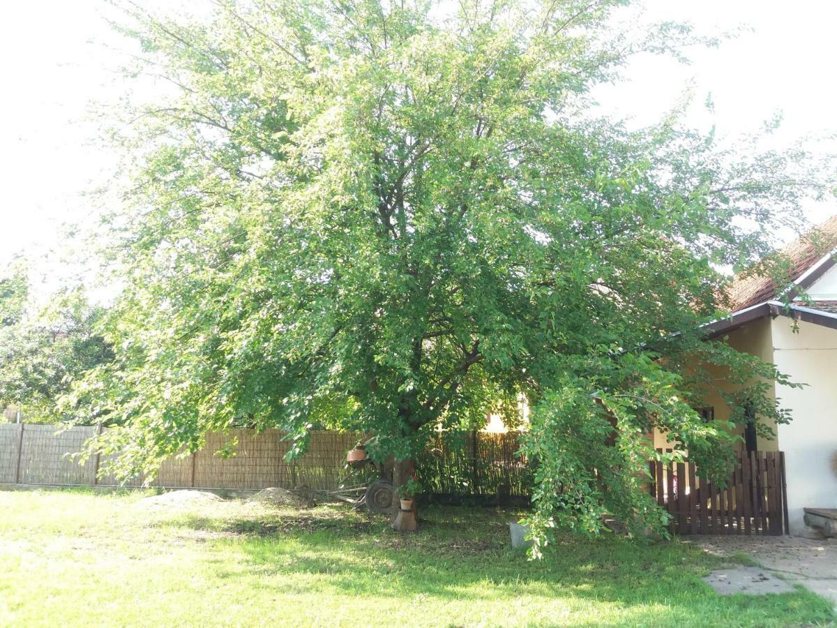 Hársfák Vila Mezokovacshaza Exterior foto