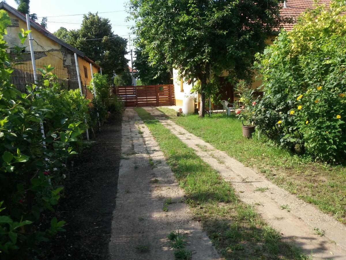 Hársfák Vila Mezokovacshaza Exterior foto